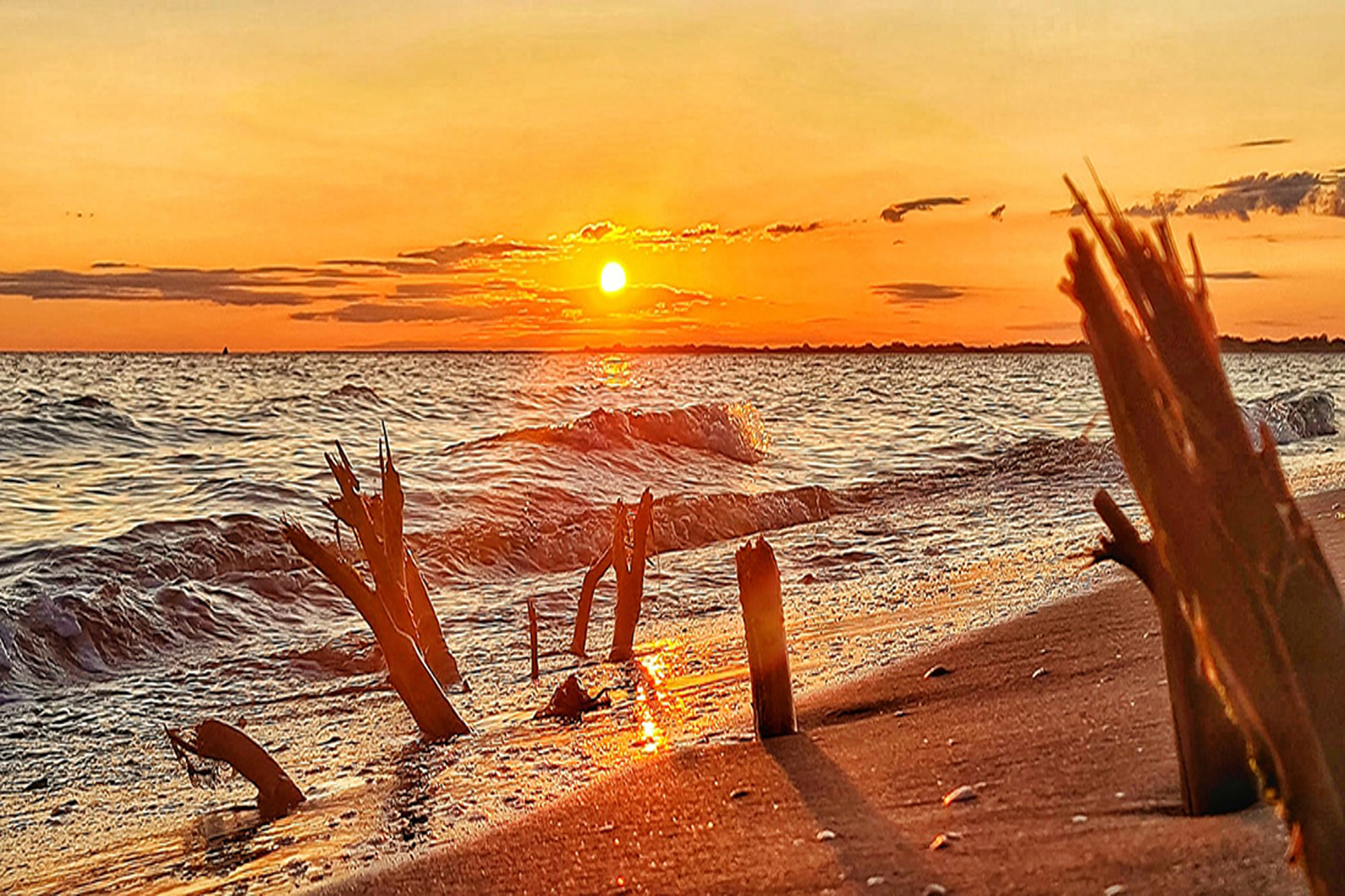 9 razones para vivir en el Delta del Ebro